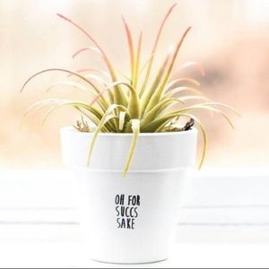 4in. Terracotta Plant Pot w/ Holder